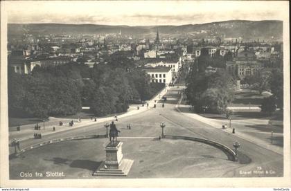 Oslo Norwegen Slottet
