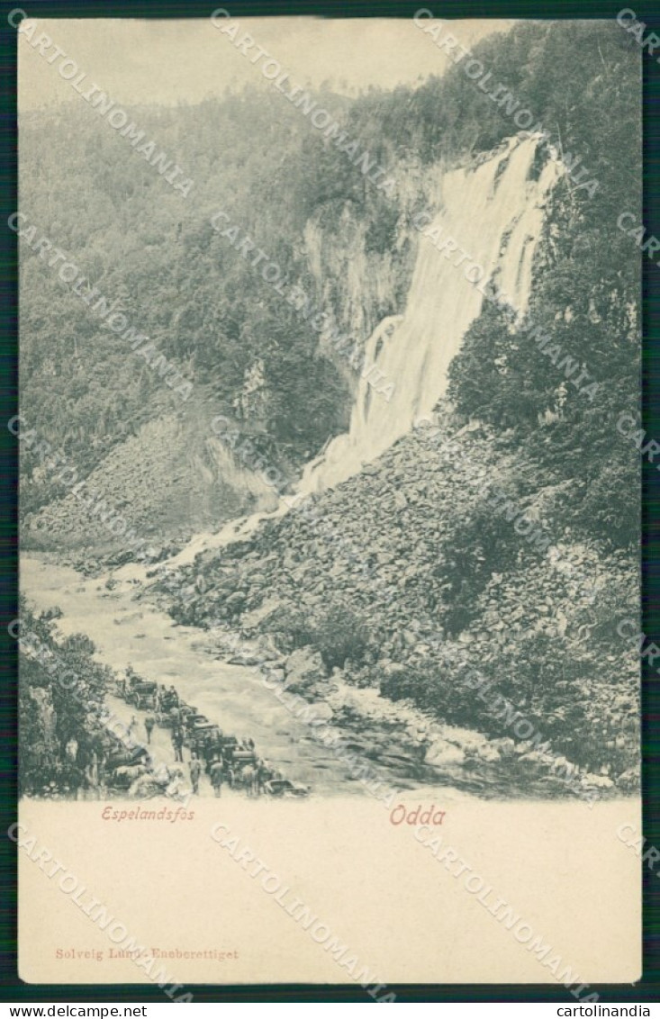 Norvegia Odda cartolina MT4168