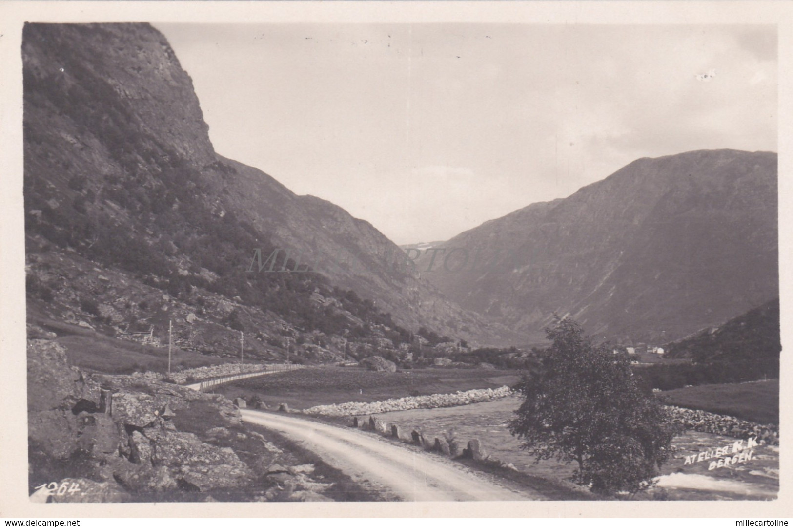 NORWAY - Bergen - View - Photo Postcard Atelier K. K. Bergen