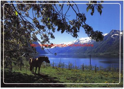 Hardanger Norway