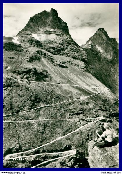 Noorwegen - Norway - Norge - Nordfjord - Trollstigveien - Trollstigvegen - Animée - Edit. NORMANNS