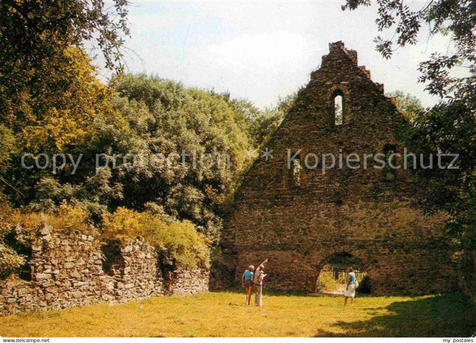 Nossen Klosterruine Altzella