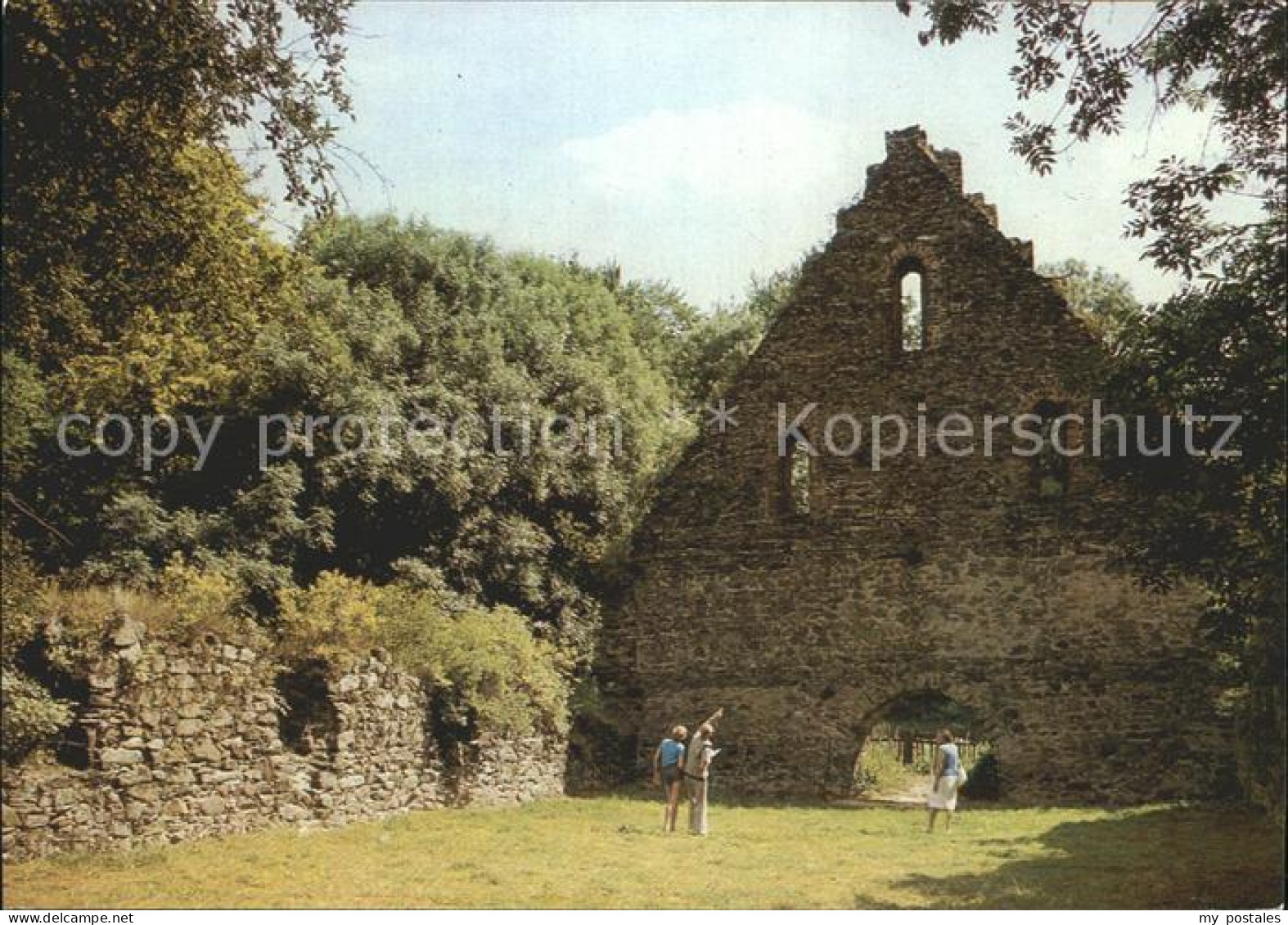 Nossen Klosterruine Altzella