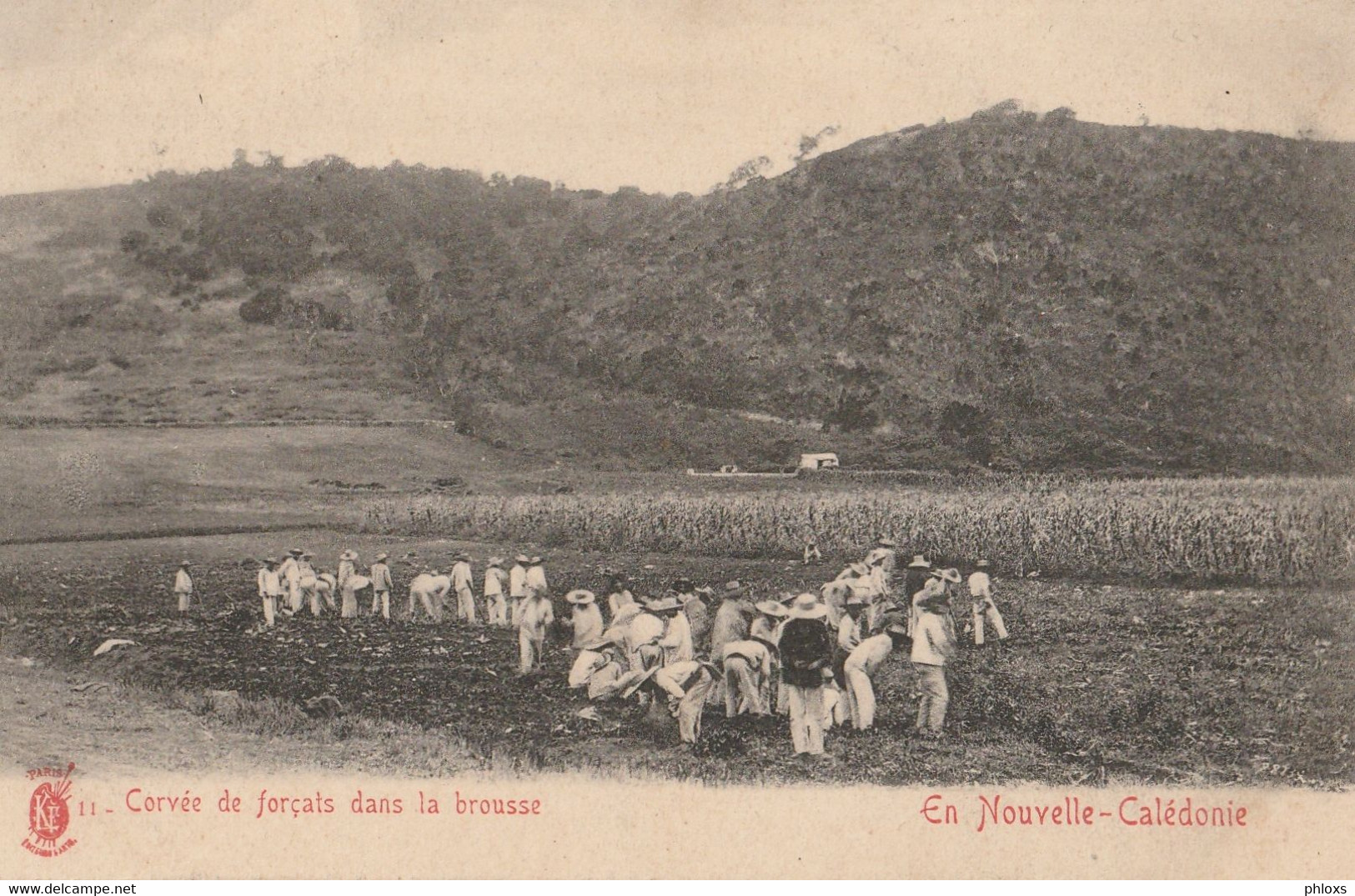 NOUVELLE CALEDONIE / Nouvelle Calédonie Corvée de forçats dans la brousse/ Réf:fm1670