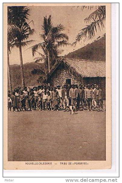 NOUVELLE CALEDONIE - Tribu de "Pombayes