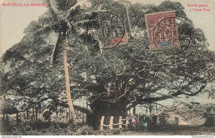 [-25%] CPA NOUVELLE CALEDONIE - banian géant a lanse vata - Noumea -  colorisé - rare