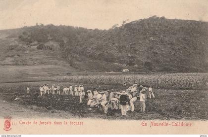 NOUVELLE CALEDONIE / Nouvelle Calédonie Corvée de forçats dans la brousse/ Réf:fm1670