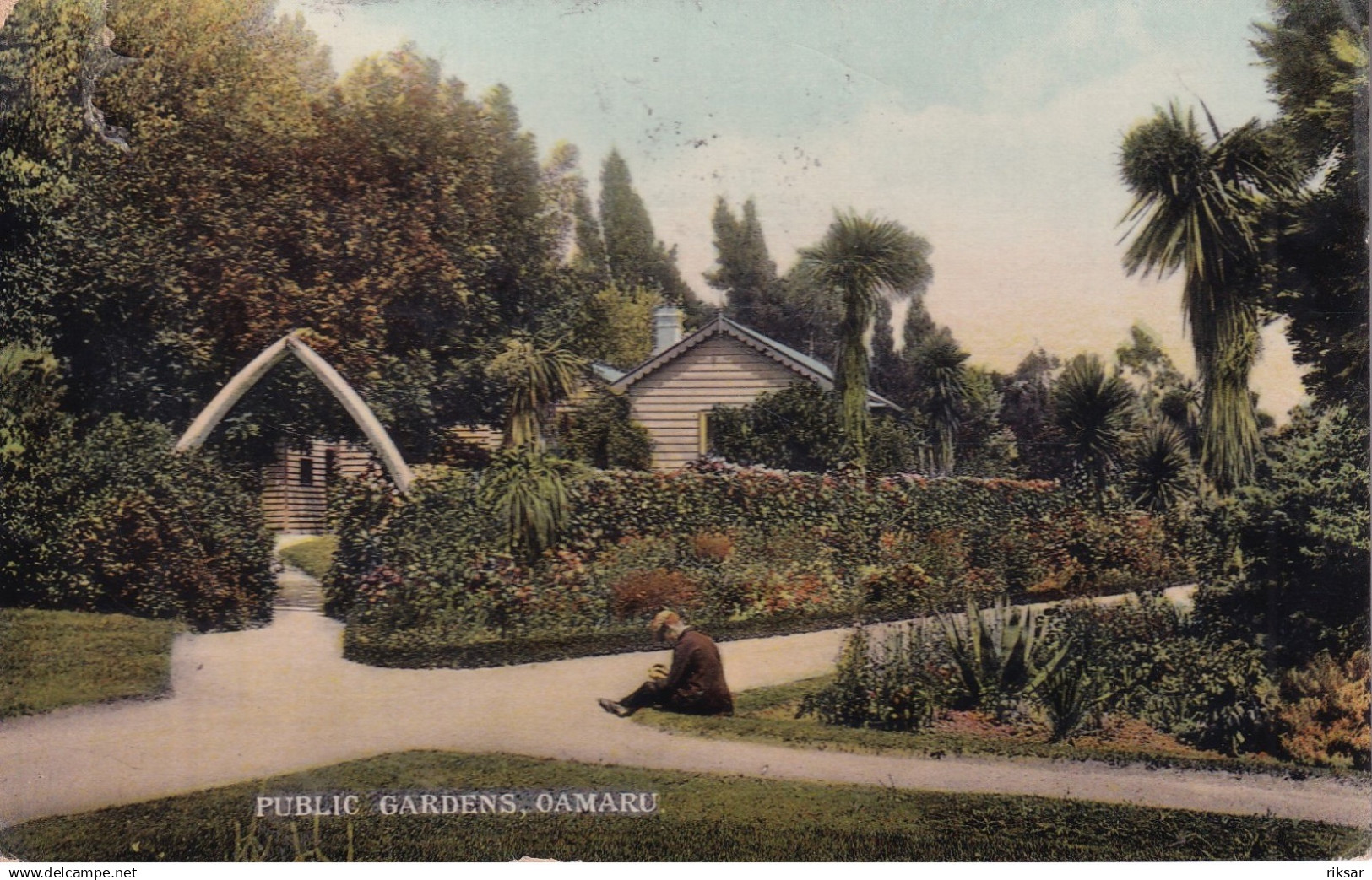 NOUVELLE ZELANDE(OAMARU) ARBRE