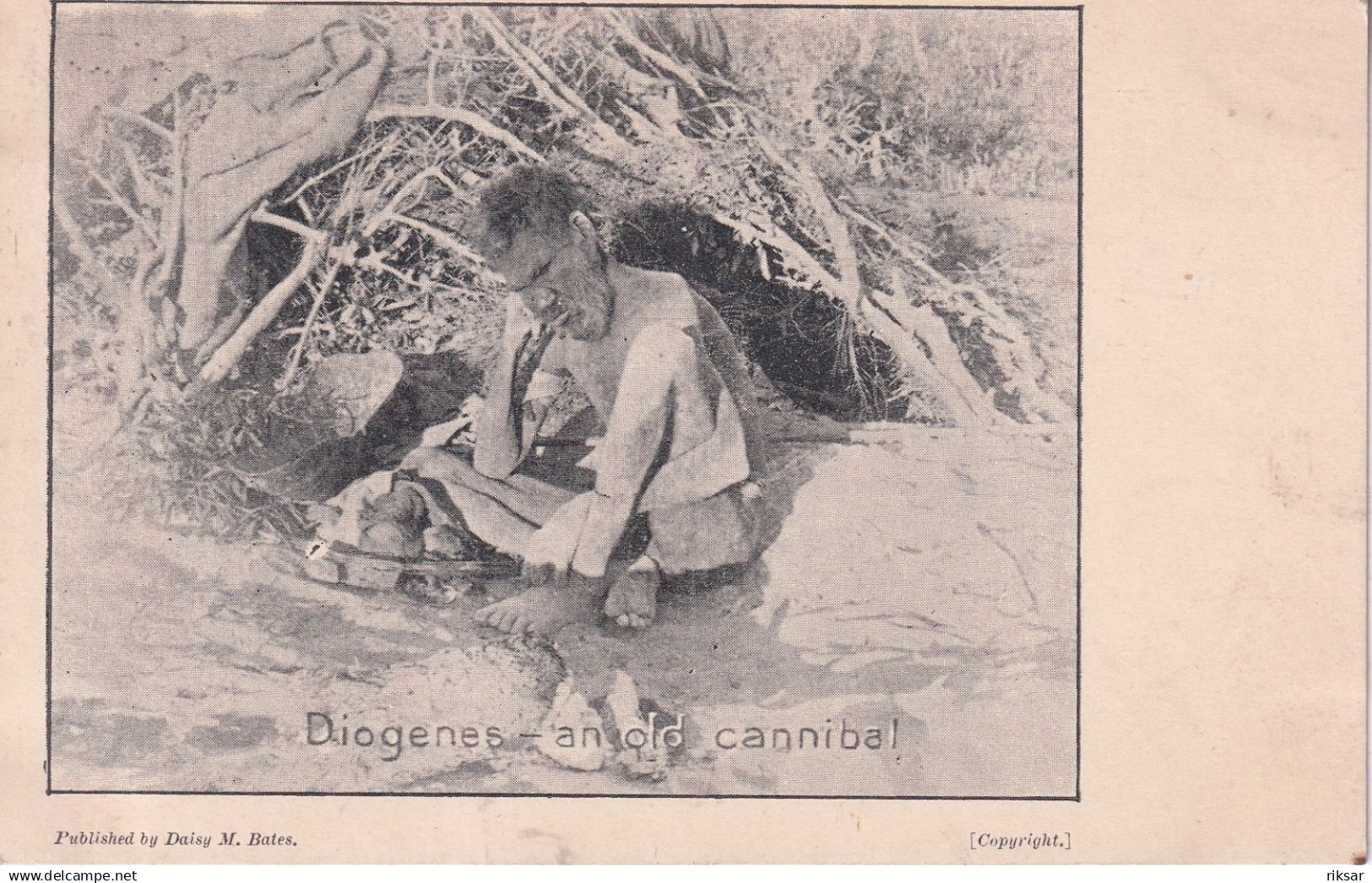 NOUVELLE ZELANDE(TYPE) CANNIBAL