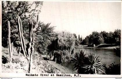 Nieuw Zeeland New Zealand - Hamilton