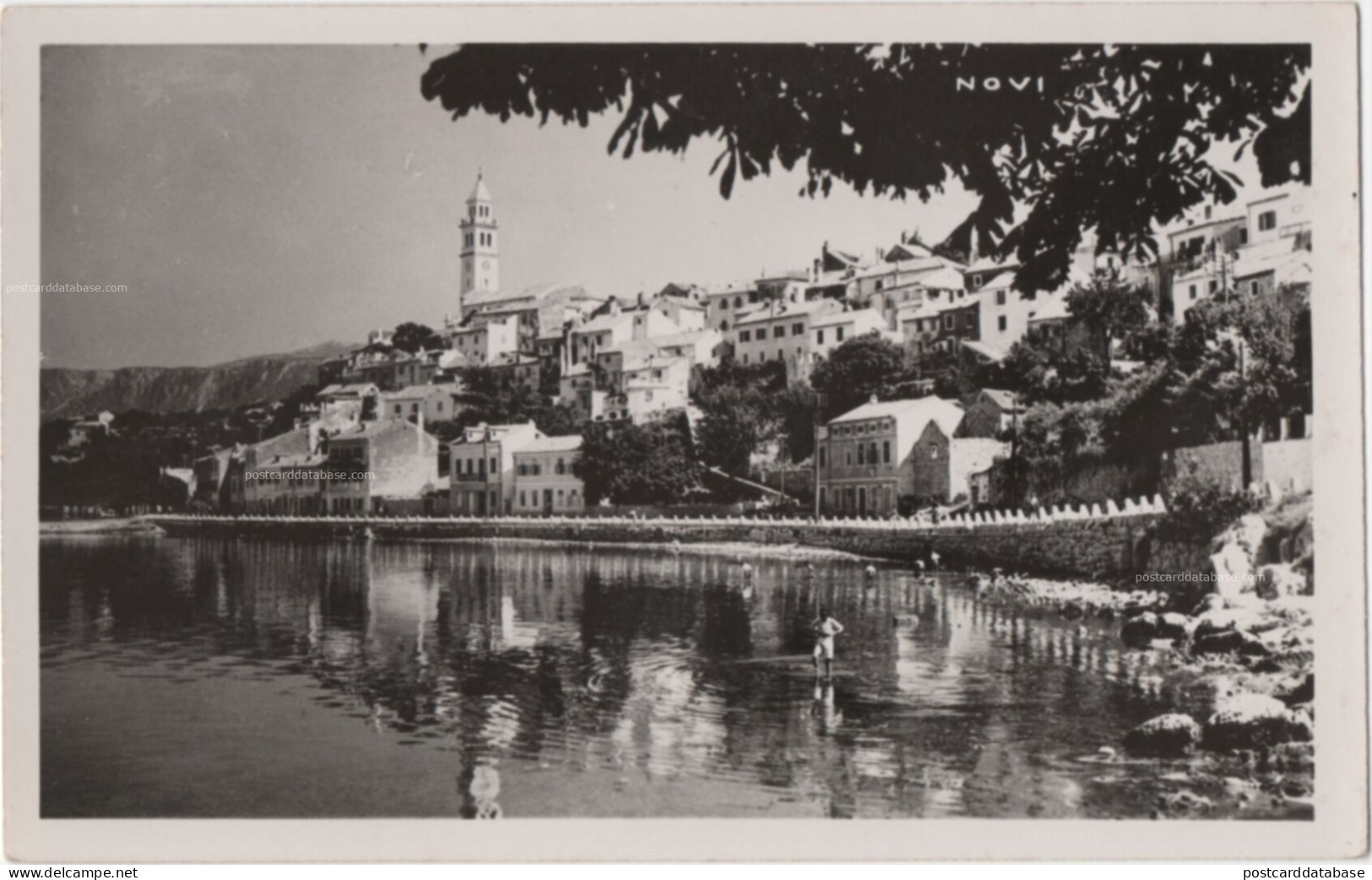 Novi