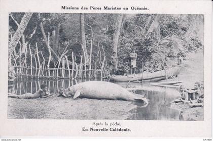 OCEANIE - NOUVEL CALEDONIE  -  APRES LA PECHE