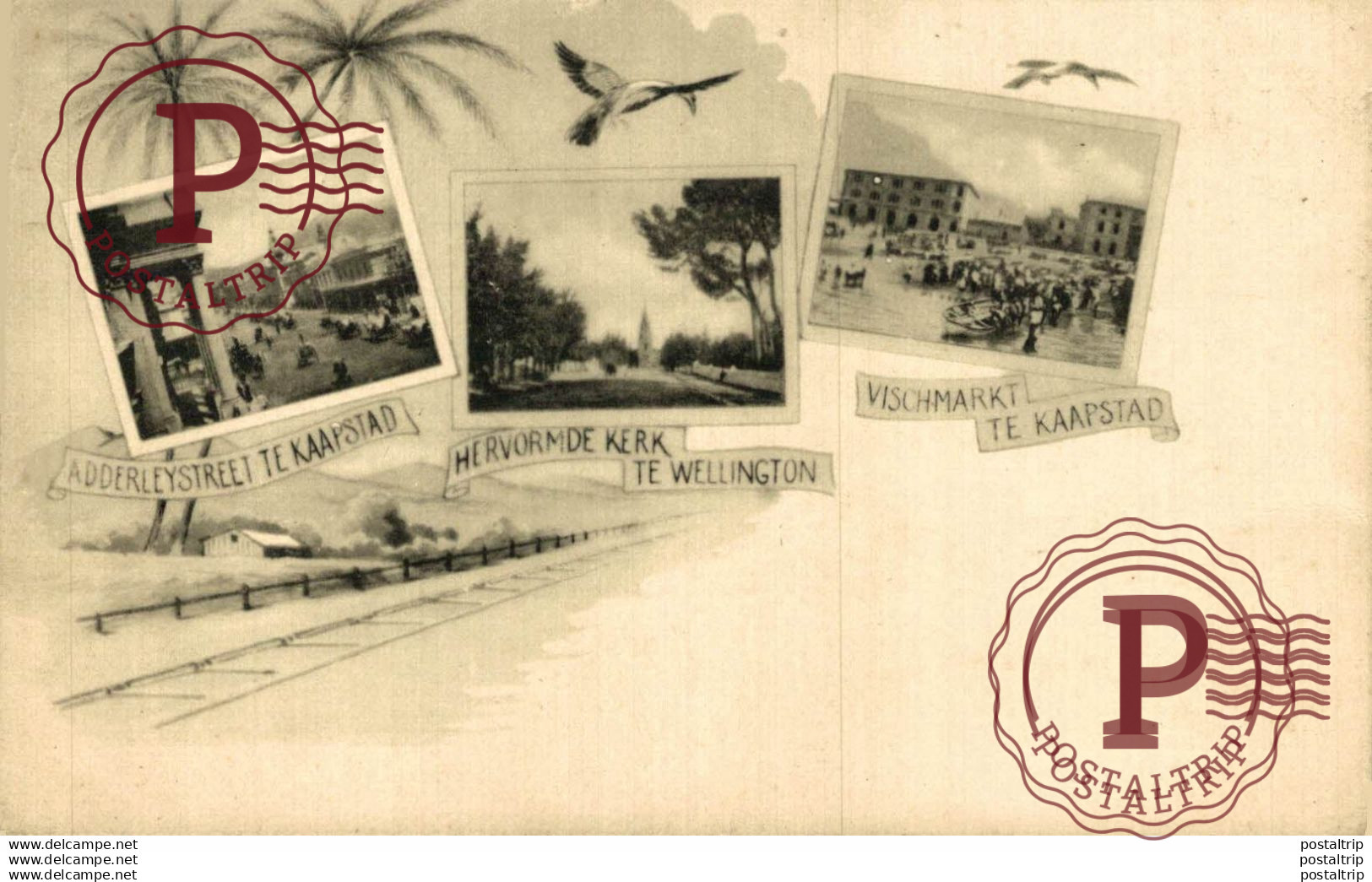 NUEVA ZELANDA // NEW ZEALAND.