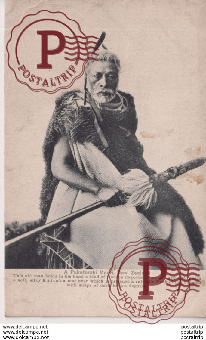 NUEVA ZELANDA // NEW ZEALAND. A PUKETERAKI MAORI.