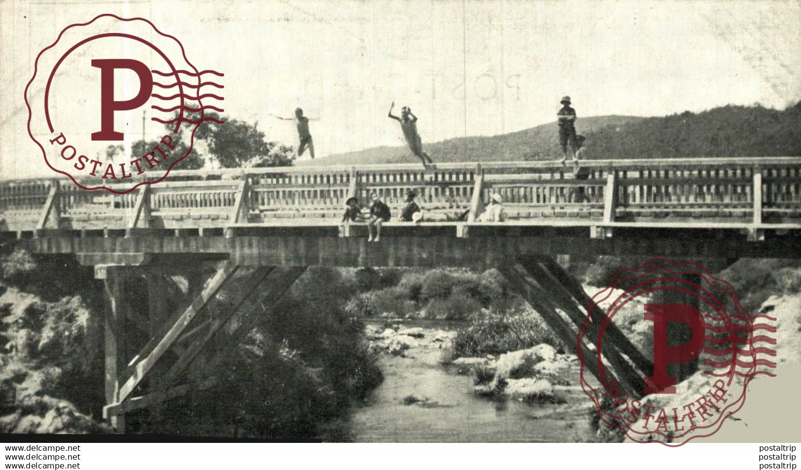 NUEVA ZELANDA // NEW ZEALAND. WHAKA BRIDGE.