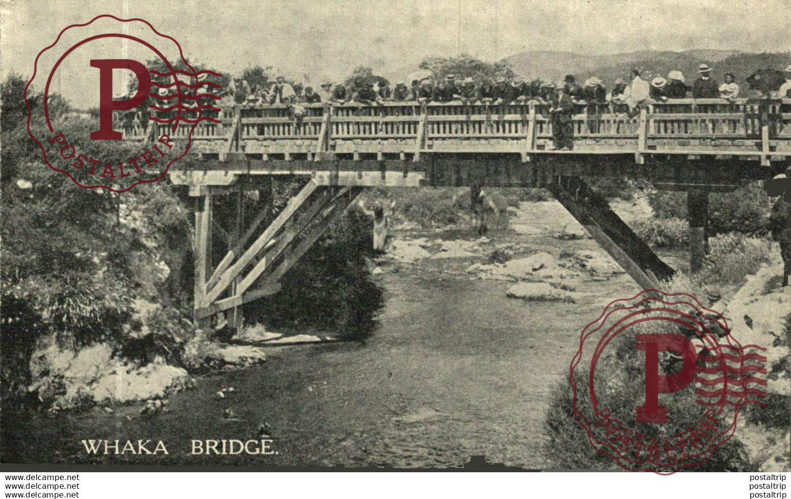 NUEVA ZELANDA // NEW ZEALAND. WHAKA BRIDGE.