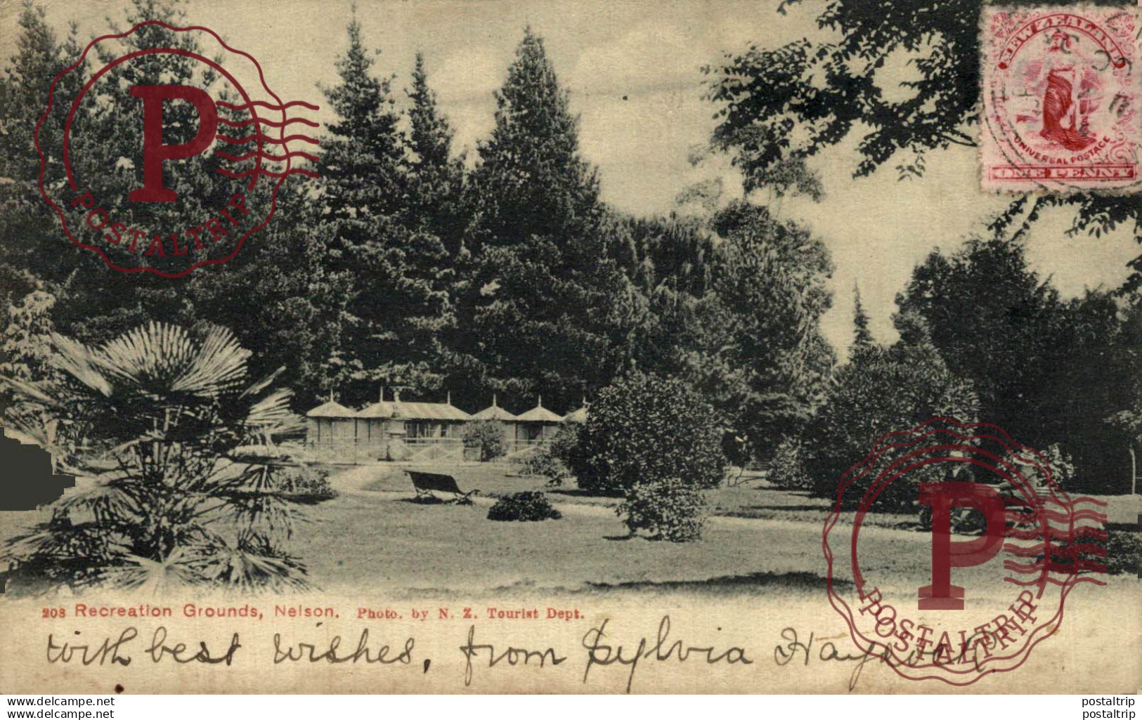 NUEVA ZELANDA. RECREATION GROUNDS, NELSON