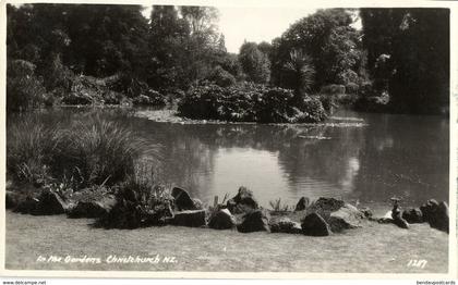 new zealand, CHRISTCHURCH, In the Gardens (1950s) RPPC