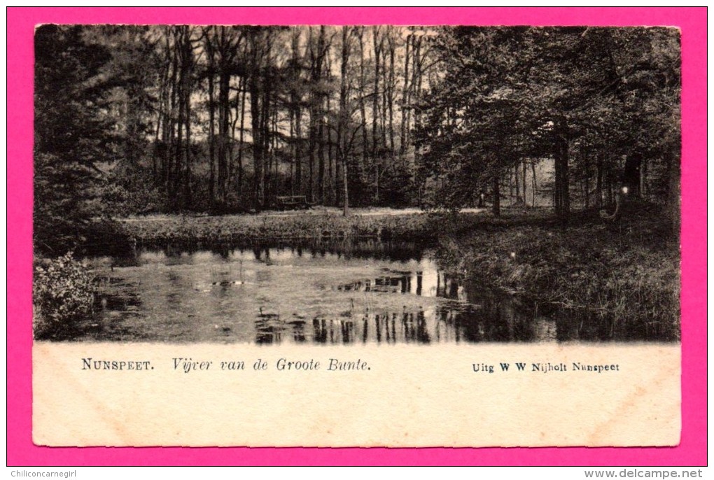 Nunspeet - Vijver van de Groote Bunte - Uitg. W.W. NIJHOLT NUNSPEET