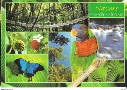 CP NOUVELLE-CALEDONIE