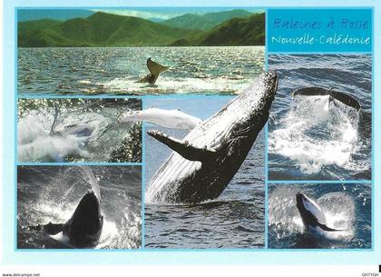 CP NOUVELLE-CALEDONIE