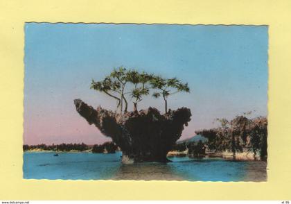 Yate - la corbeille
