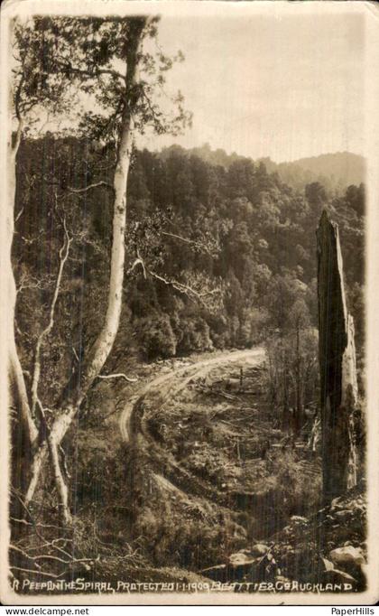 Nieuw Zeeland New Zealand - Auckland