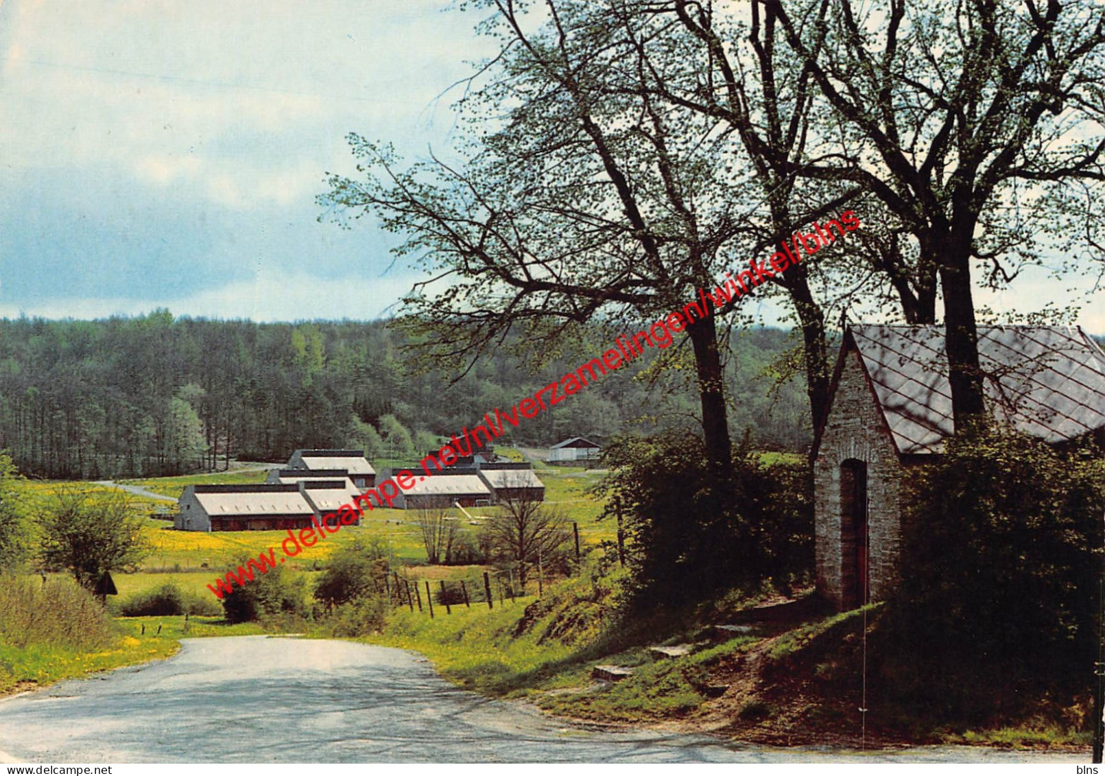 Ny - Village de Vacances L'Espinette - Hotton