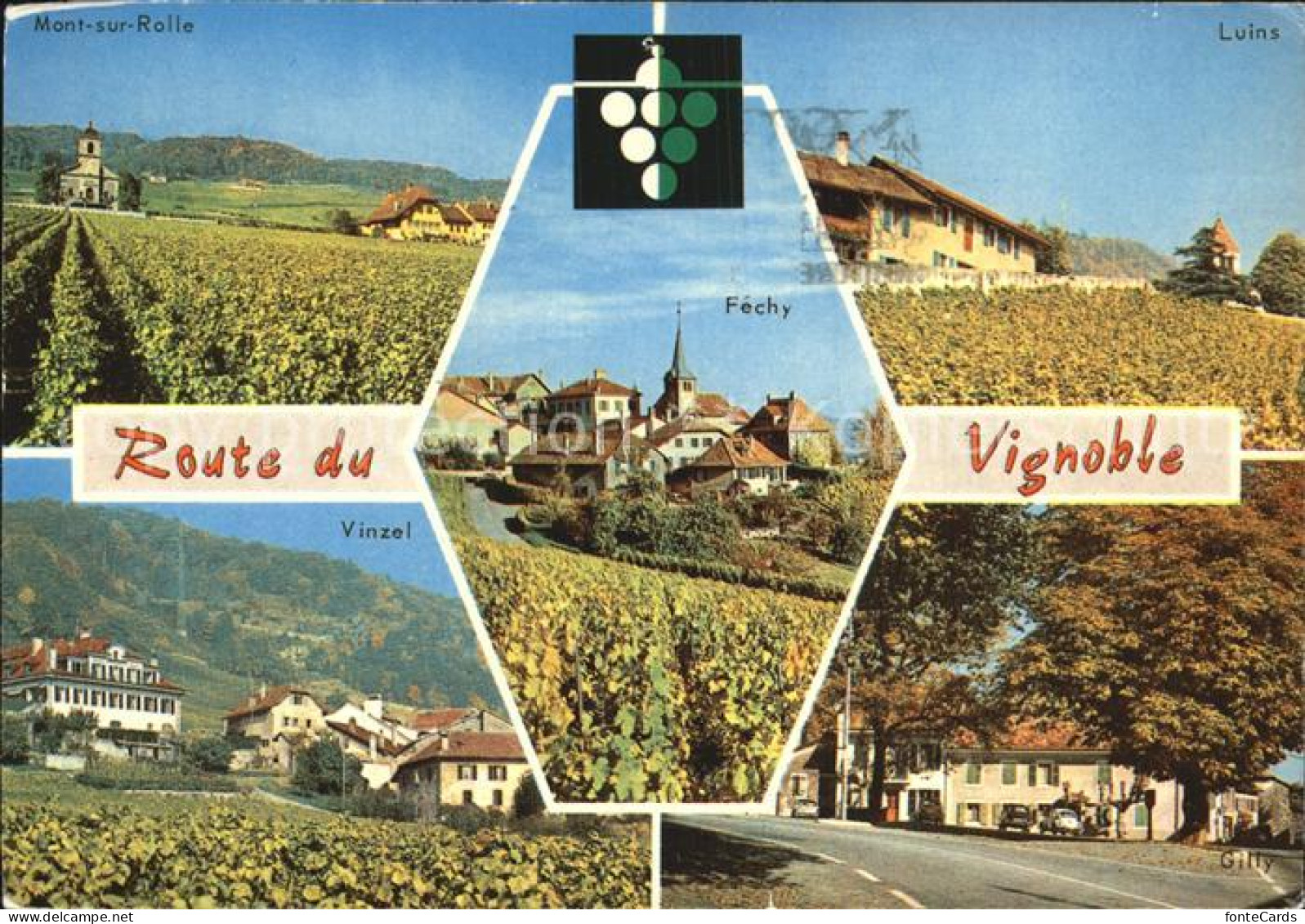 Nyon VD Route du Vignoble Mont sur Rolle Luins Vinzel Gilly Fechy