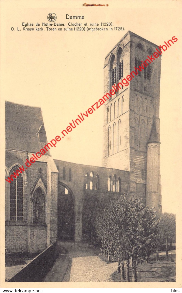 O.L.V. Kerk - Damme
