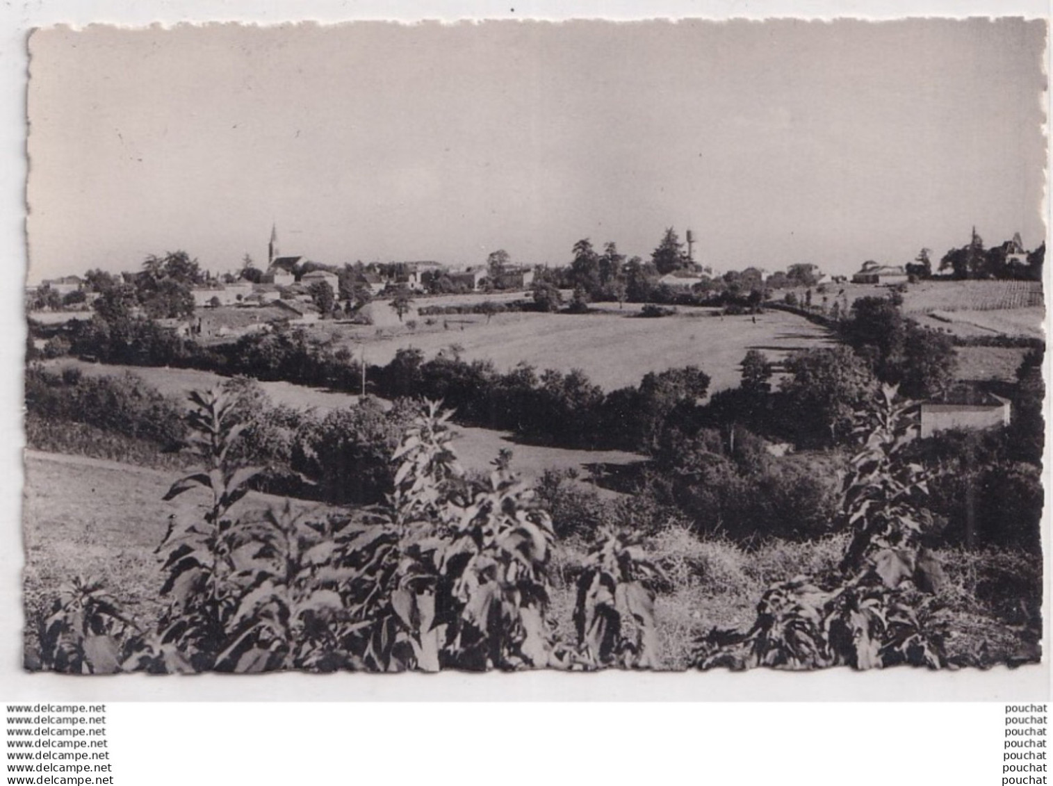 O5-47) LAROQUE - TIMBAULT (LOT ET GARONNE) VUE GENERALE  - ( 2 SCANS )