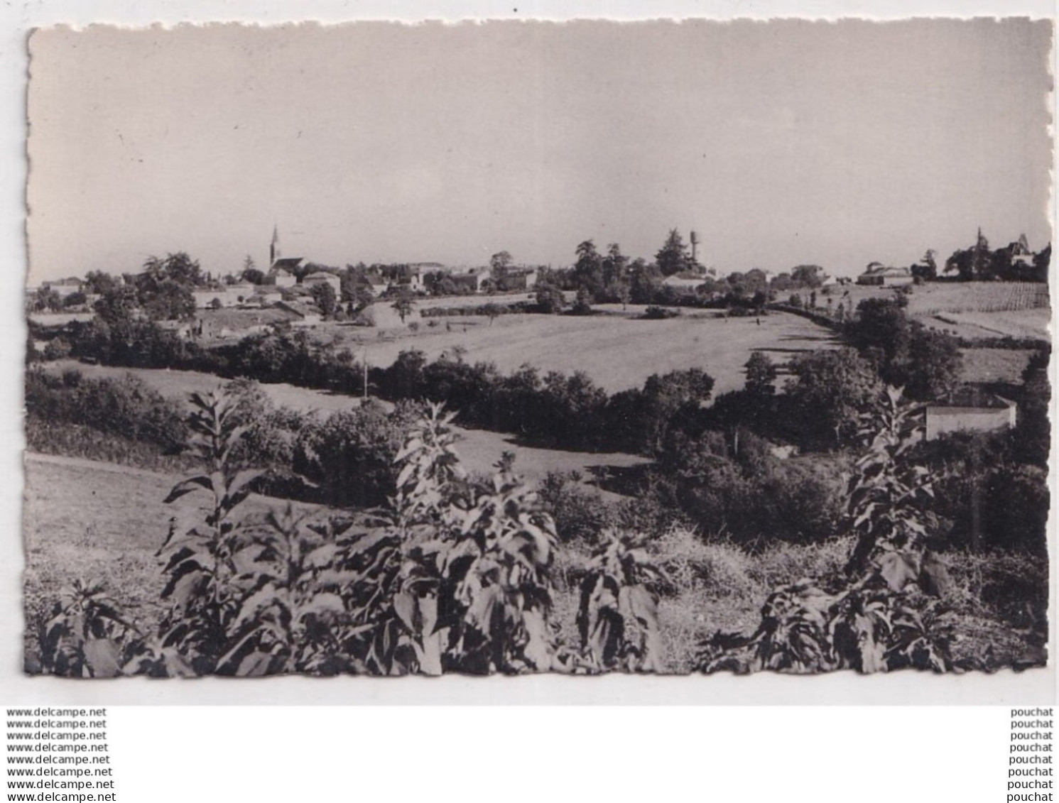 O5-47) LAROQUE - TIMBAULT (LOT ET GARONNE) VUE GENERALE  - ( 2 SCANS )