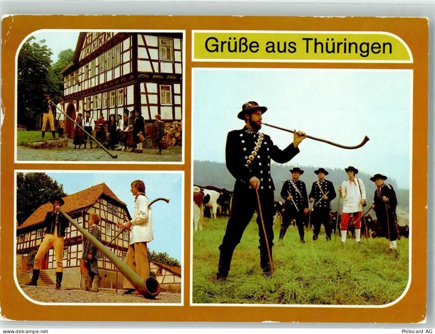 O6060 Zella-Mehlis Trachten Thüringen Kühe Alphorn Foto AK - 39838593