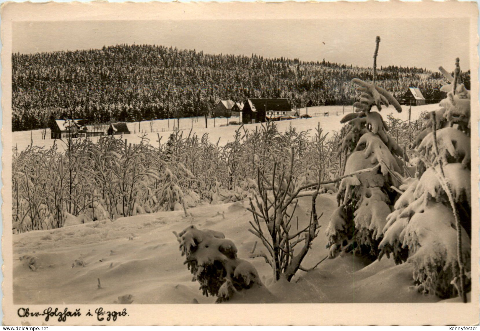 Ober Holzhau