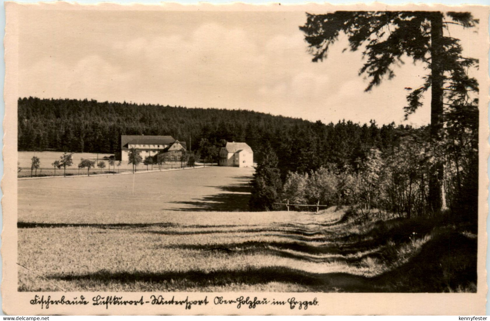 Ober Holzhau
