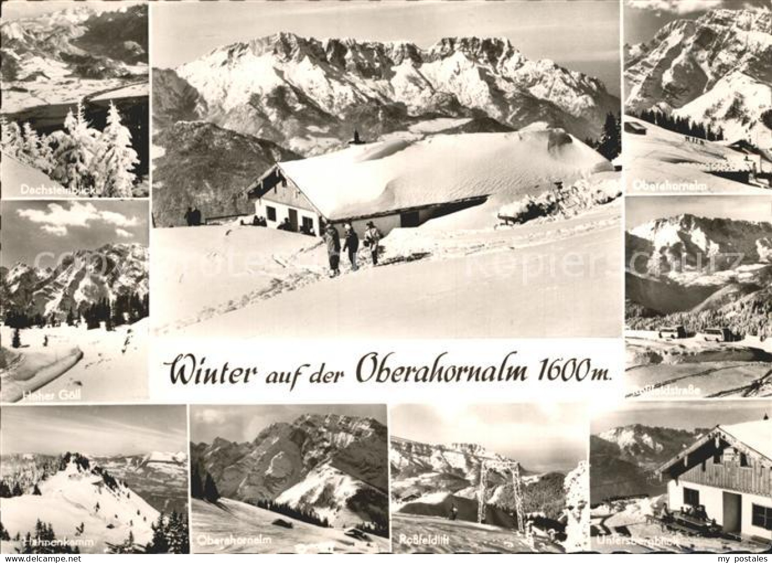 Oberahorn Rossfeld Ringstrasse Dachsteinblick Hoher Goell