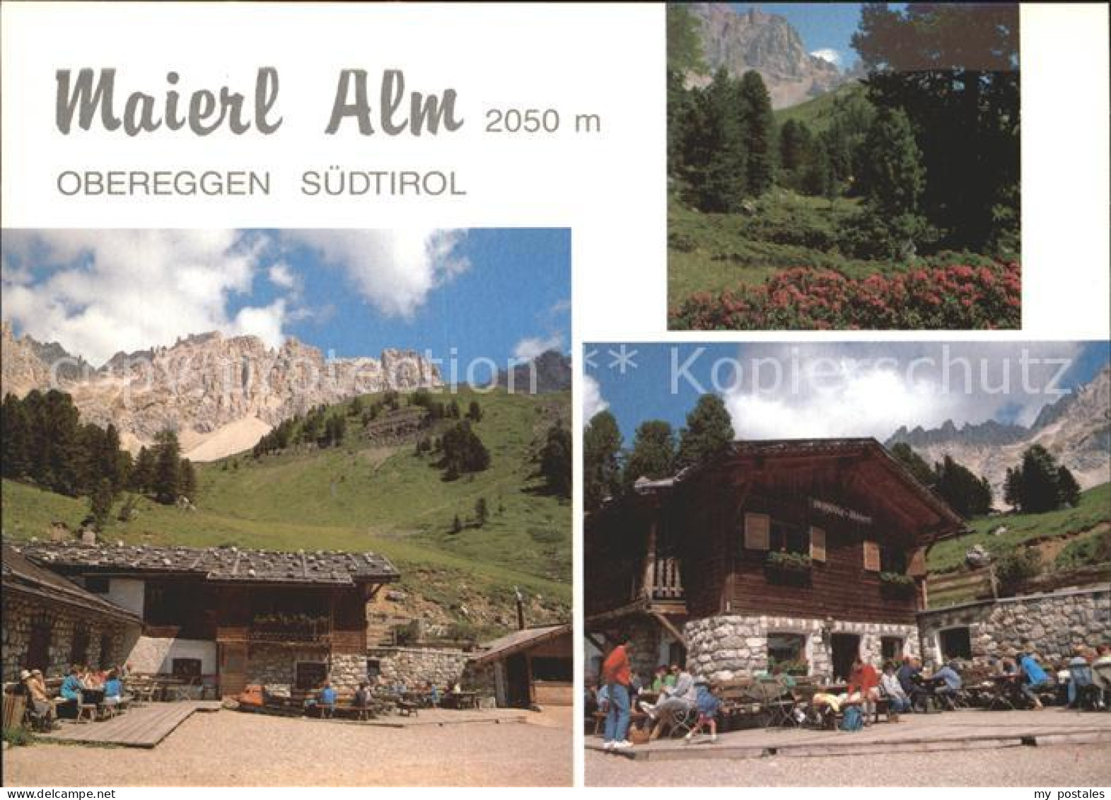 Obereggen Suedtirol Maierl Alm Malga La Mens