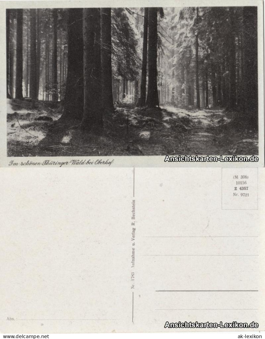 Oberhof (Thüringen) Im schönen Thüringer Wald bei Oberhof 1933