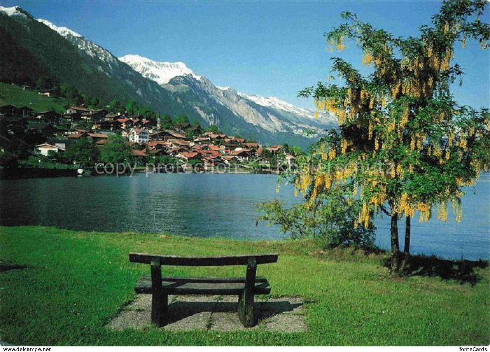 Oberried Brienzersee