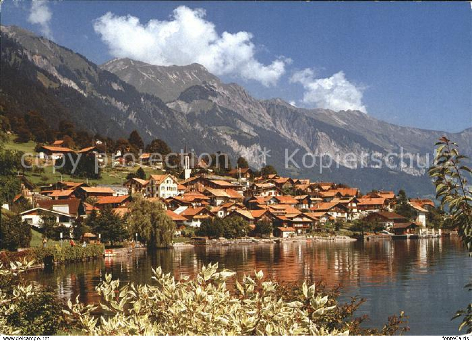 Oberried Brienzersee mit Rothorn