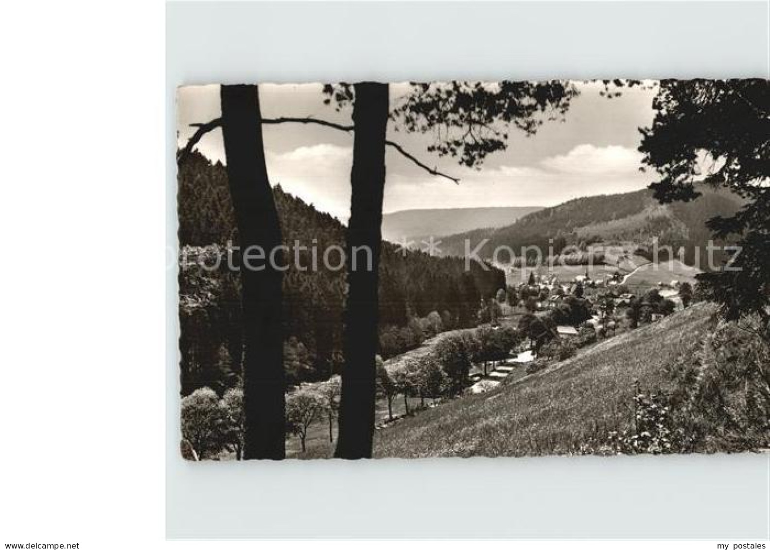 Obertal Baiersbronn