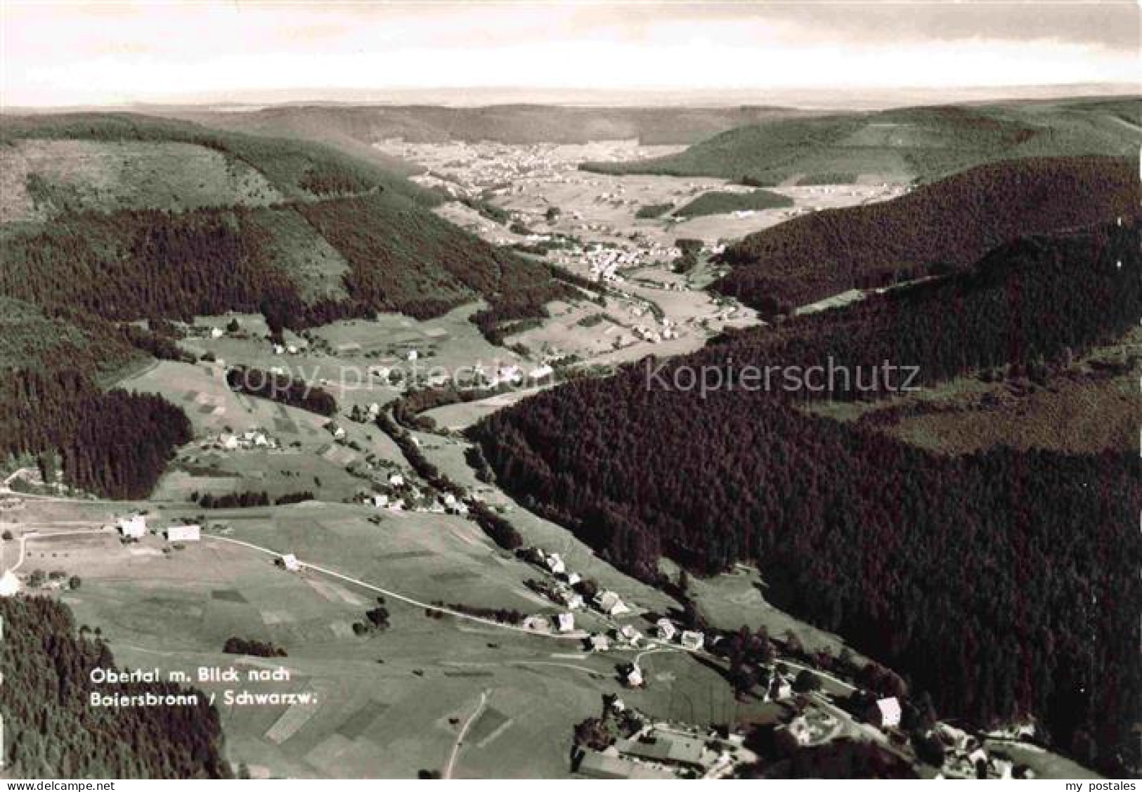 Obertal Baiersbronn Fliegeraufnahme