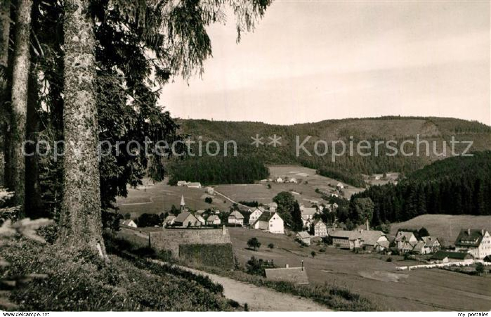 Obertal Baiersbronn Gesamtansicht