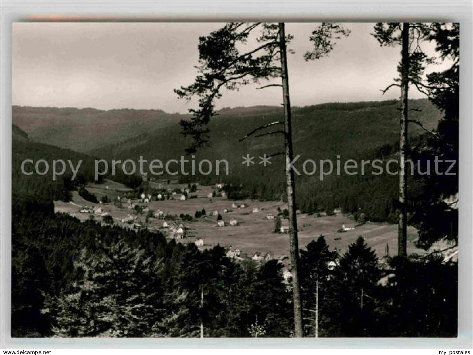 Obertal Baiersbronn Panorama