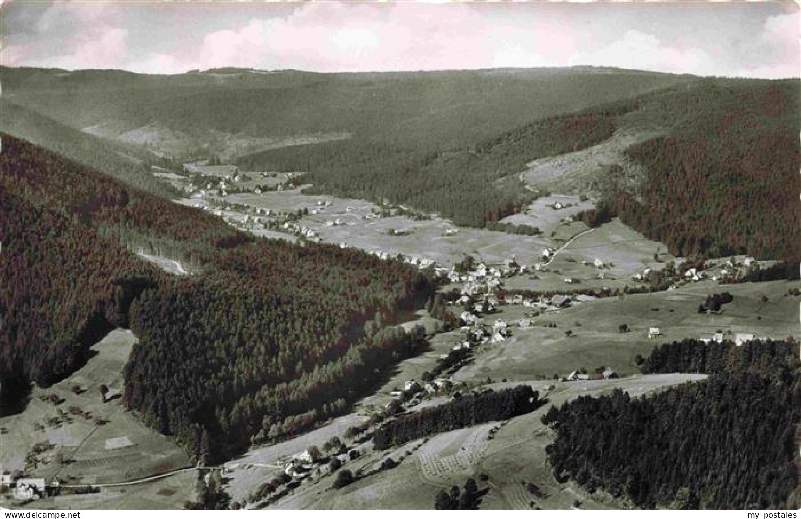 Obertal Schwarzwald Baiersbronn Freudenstadt BW Schwarzwald Tal Wald Baiersbronn
