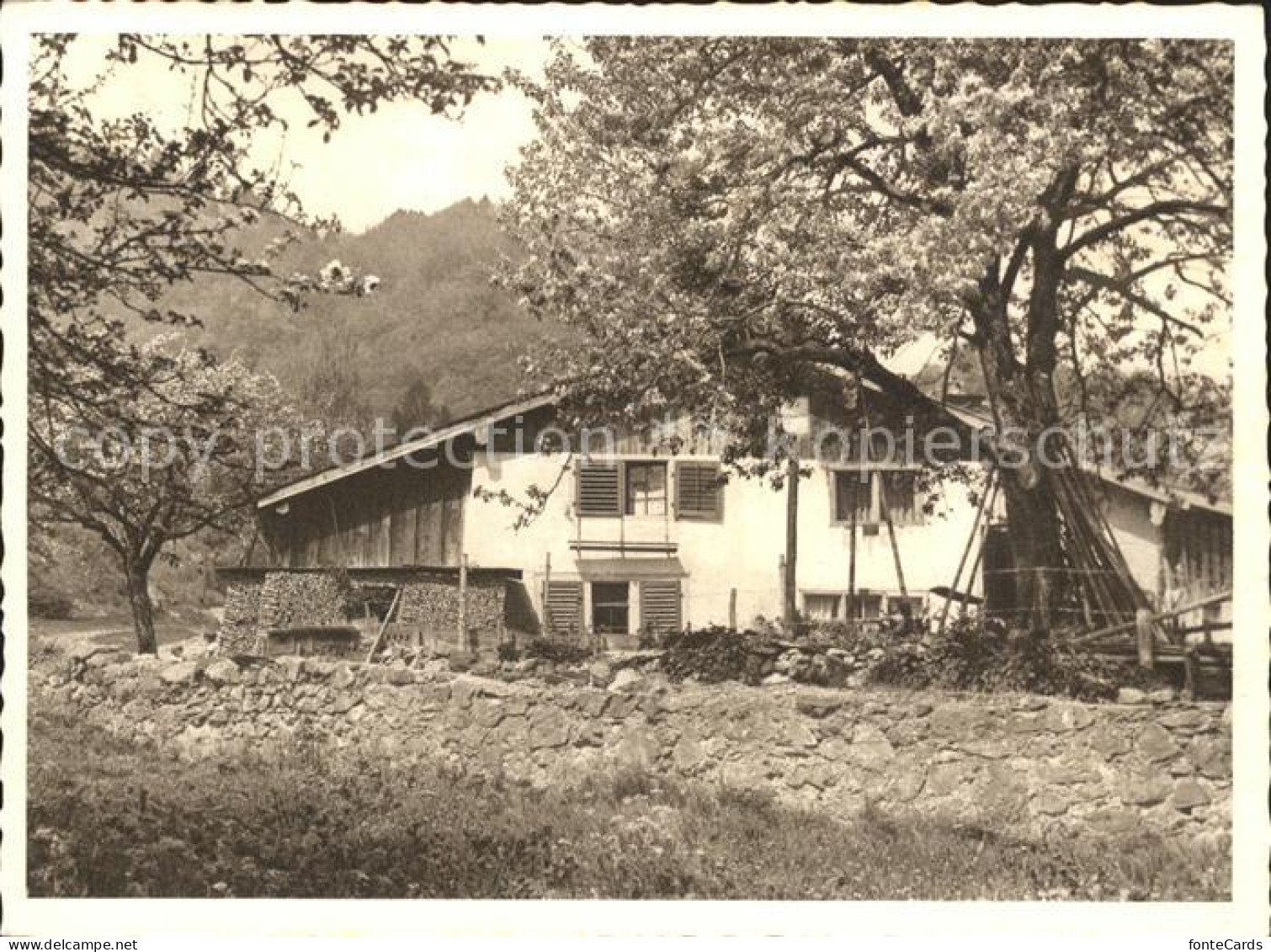 Oberurnen Baeuerliches Anwesen