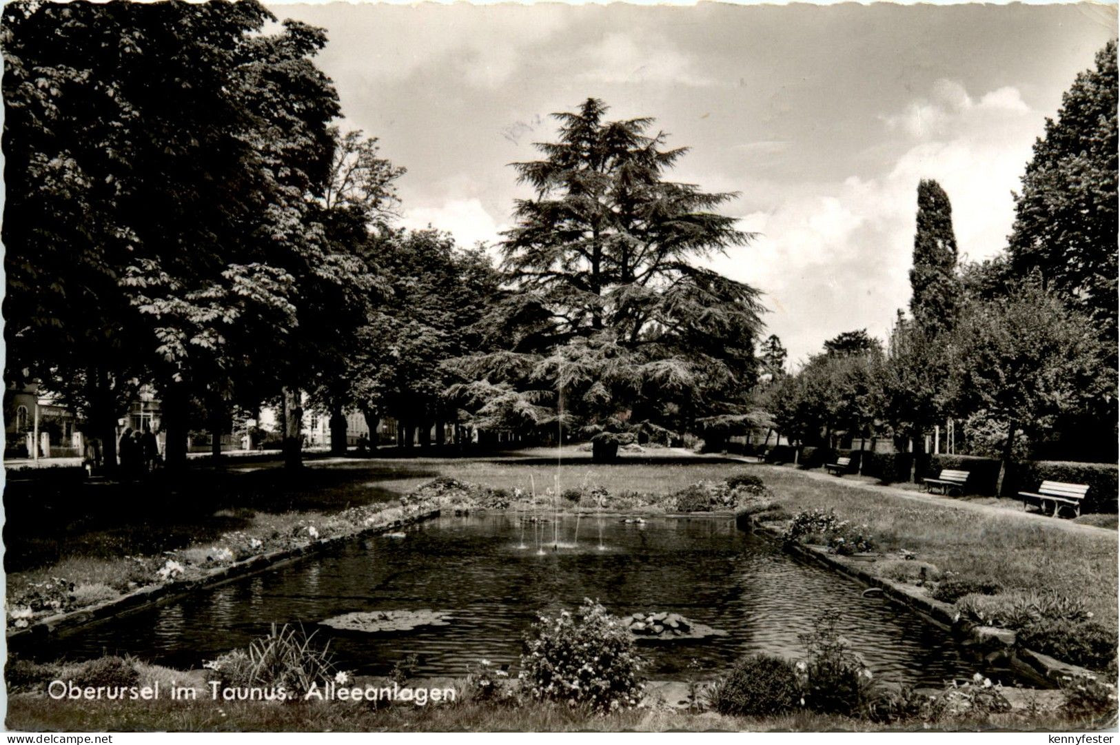 Oberursel - Alleeanlagen