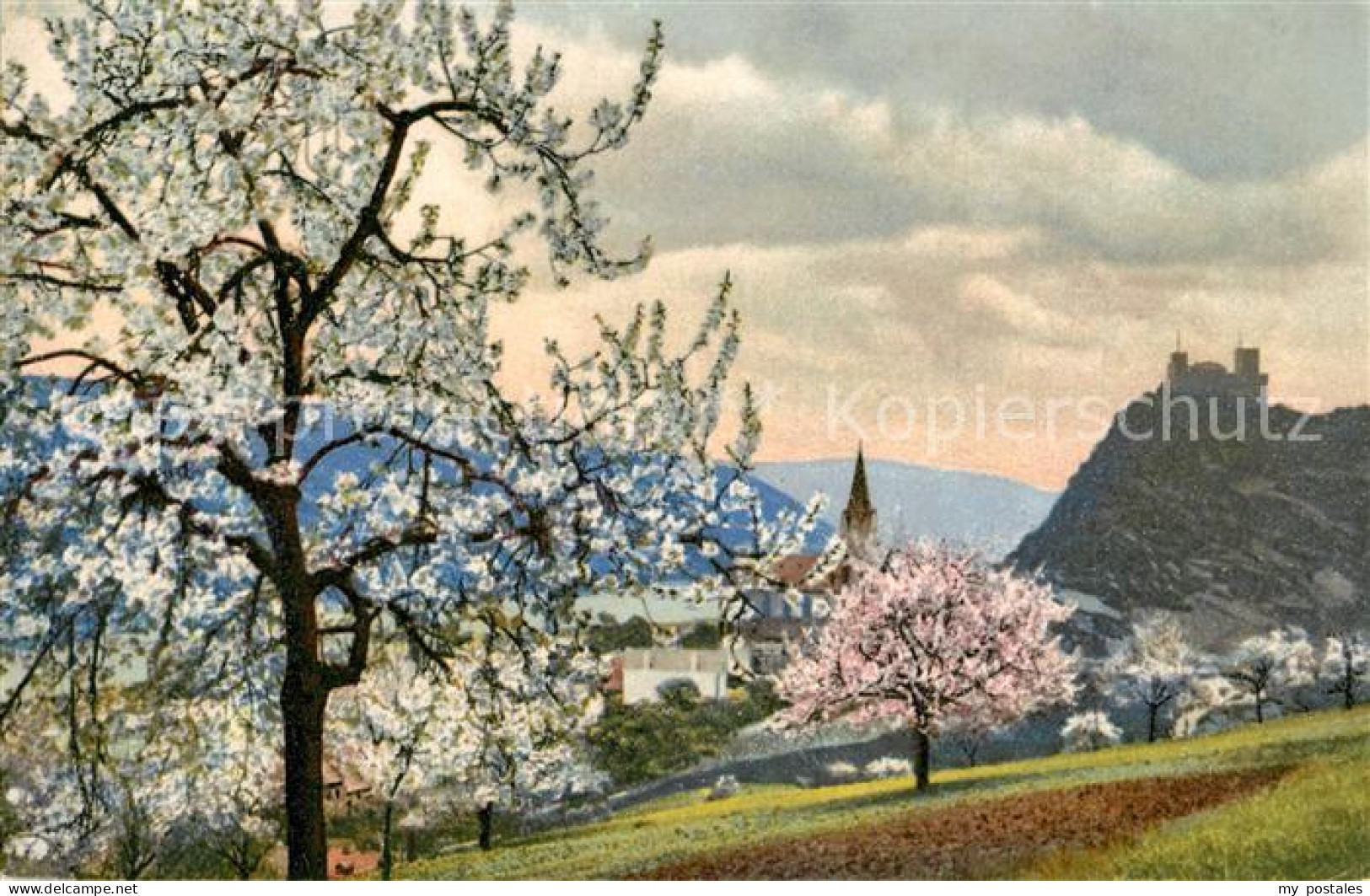 Oberwesel Rhein Schoenberg
