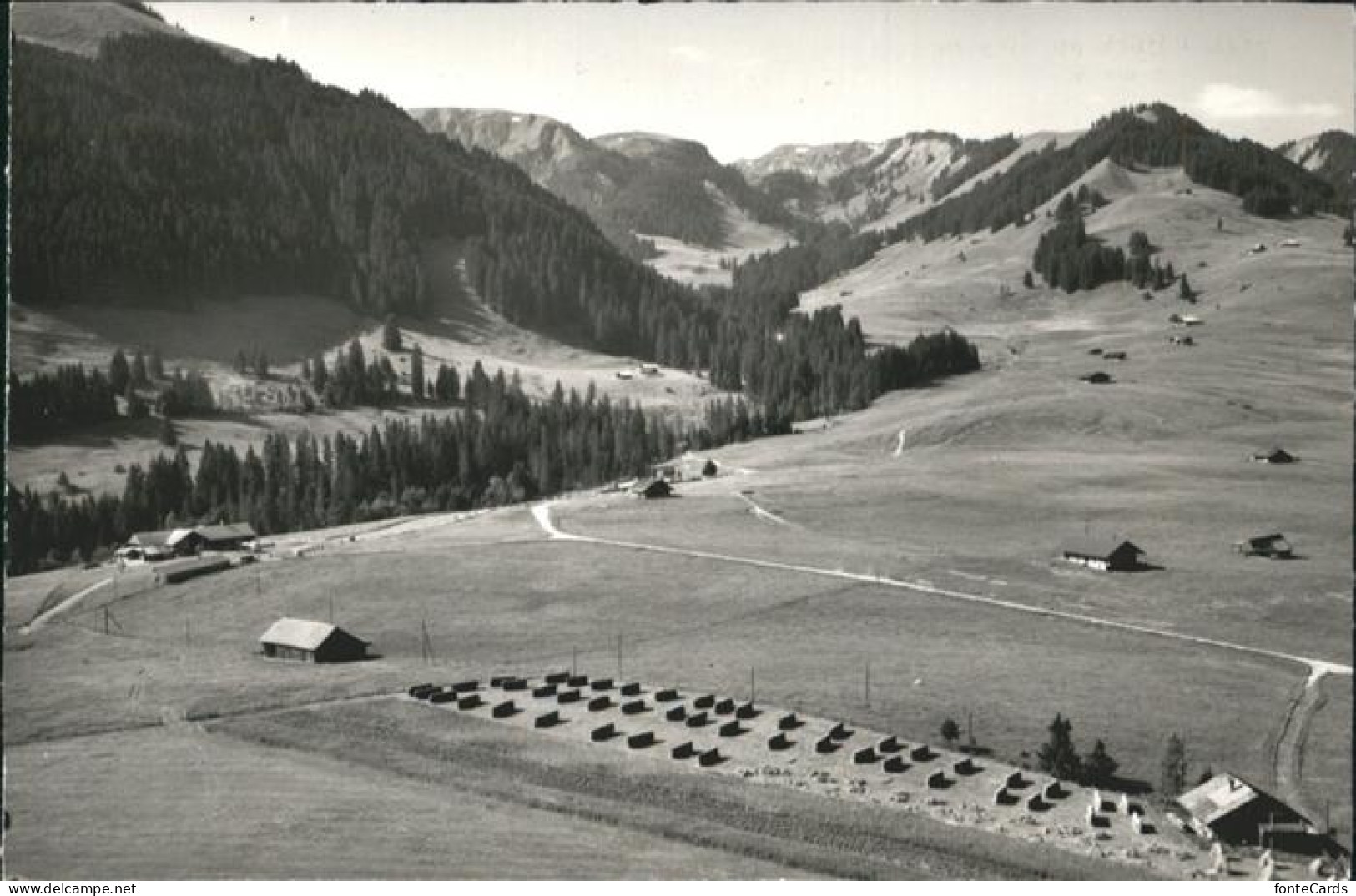 Oberwil Simmental Rossberg