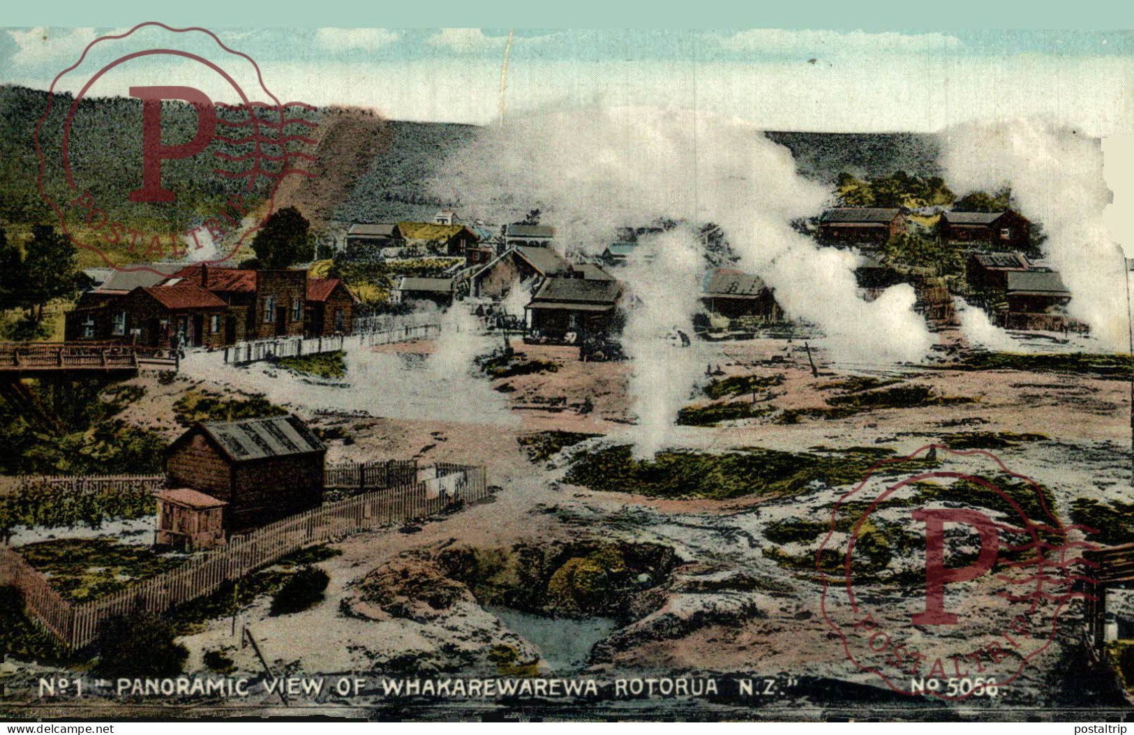 OCEANIA. NUEVA ZELANDA. Whakarewarewa Rotorua, Panoramic View